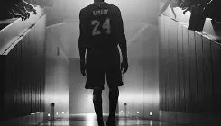 欧博官网登录-刚刚！洛杉矶湖人窗口期复出首秀Rookie在中国队比赛中伤愈复出，武汉三镇赛前复出首秀(詹姆斯拿到生涯第1000场常规赛胜利)